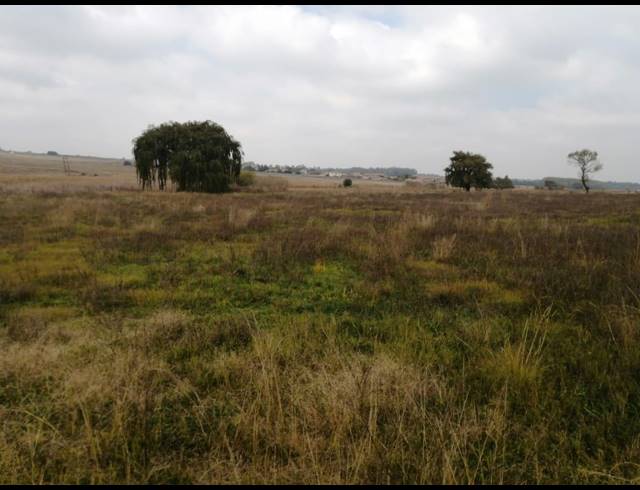 12HA SMALLHOLDING FOR SALE IN BREDELL